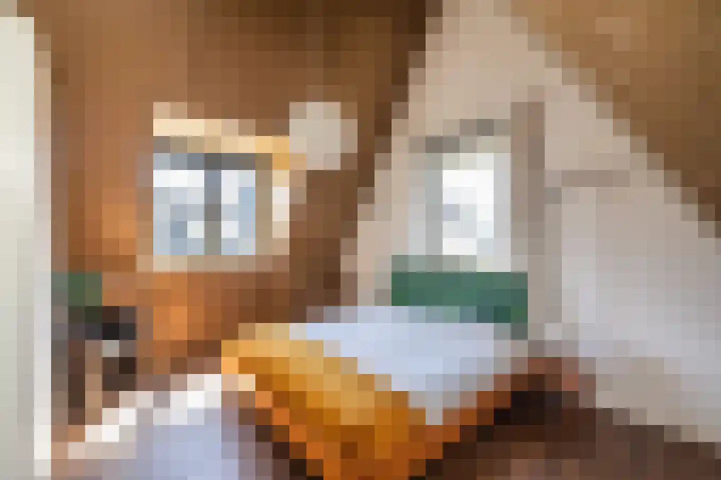 Mortelhof 1 Hillegom thumbnail 42