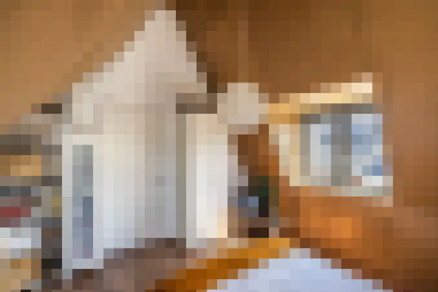 Mortelhof 1 Hillegom thumbnail 43