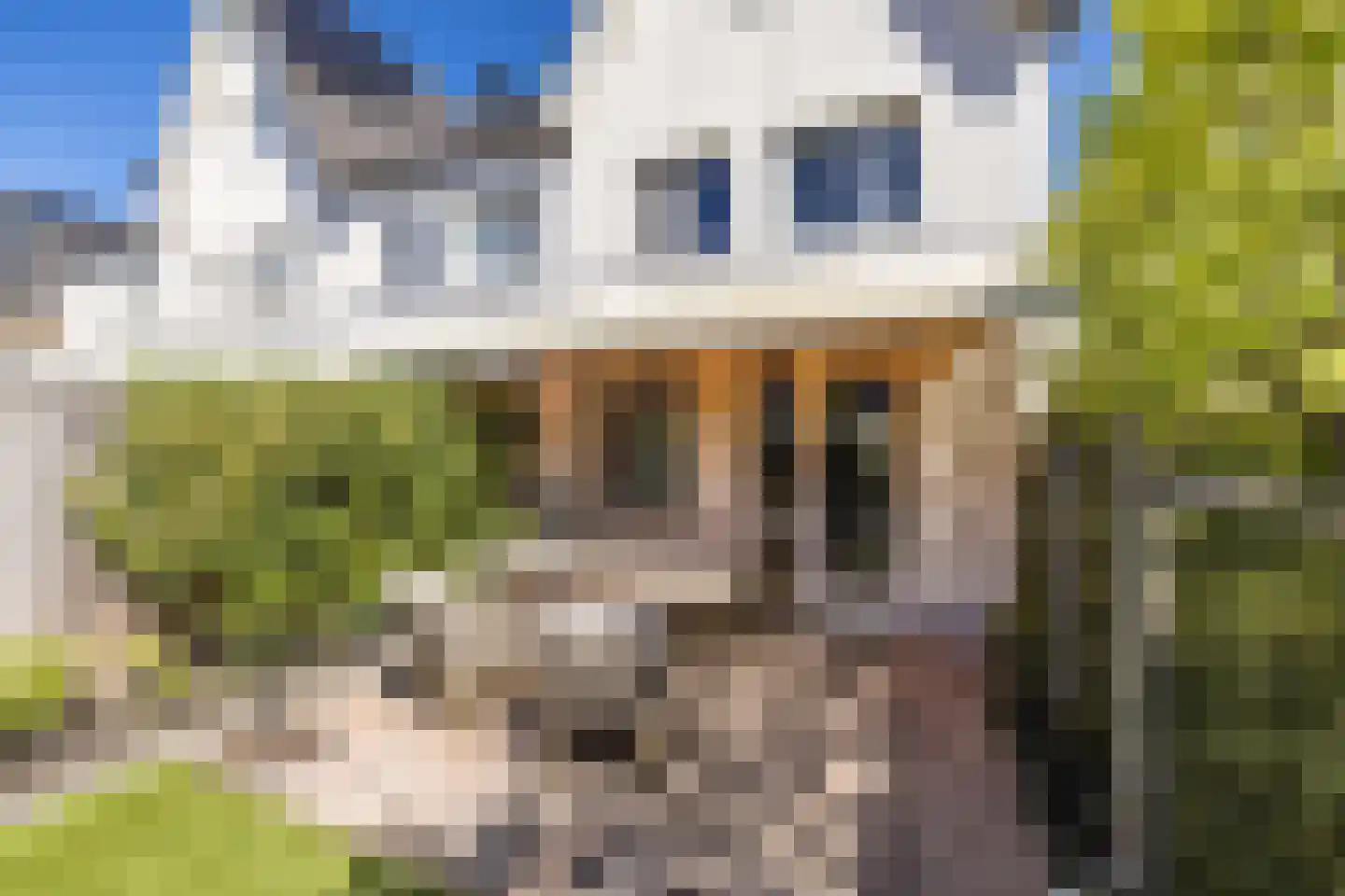 Mortelhof 1 Hillegom thumbnail 47