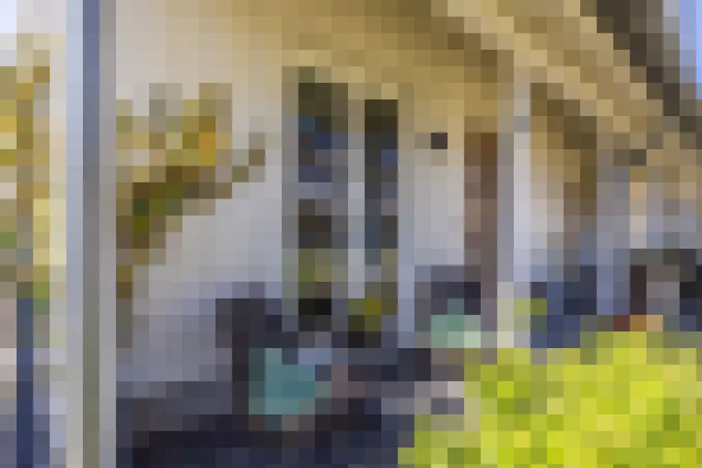 Mortelhof 1 Hillegom thumbnail 6