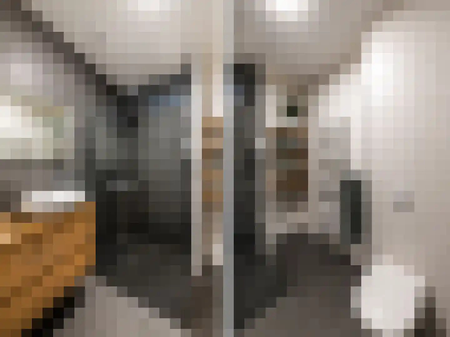 Mortelhof 8 Hillegom thumbnail 16