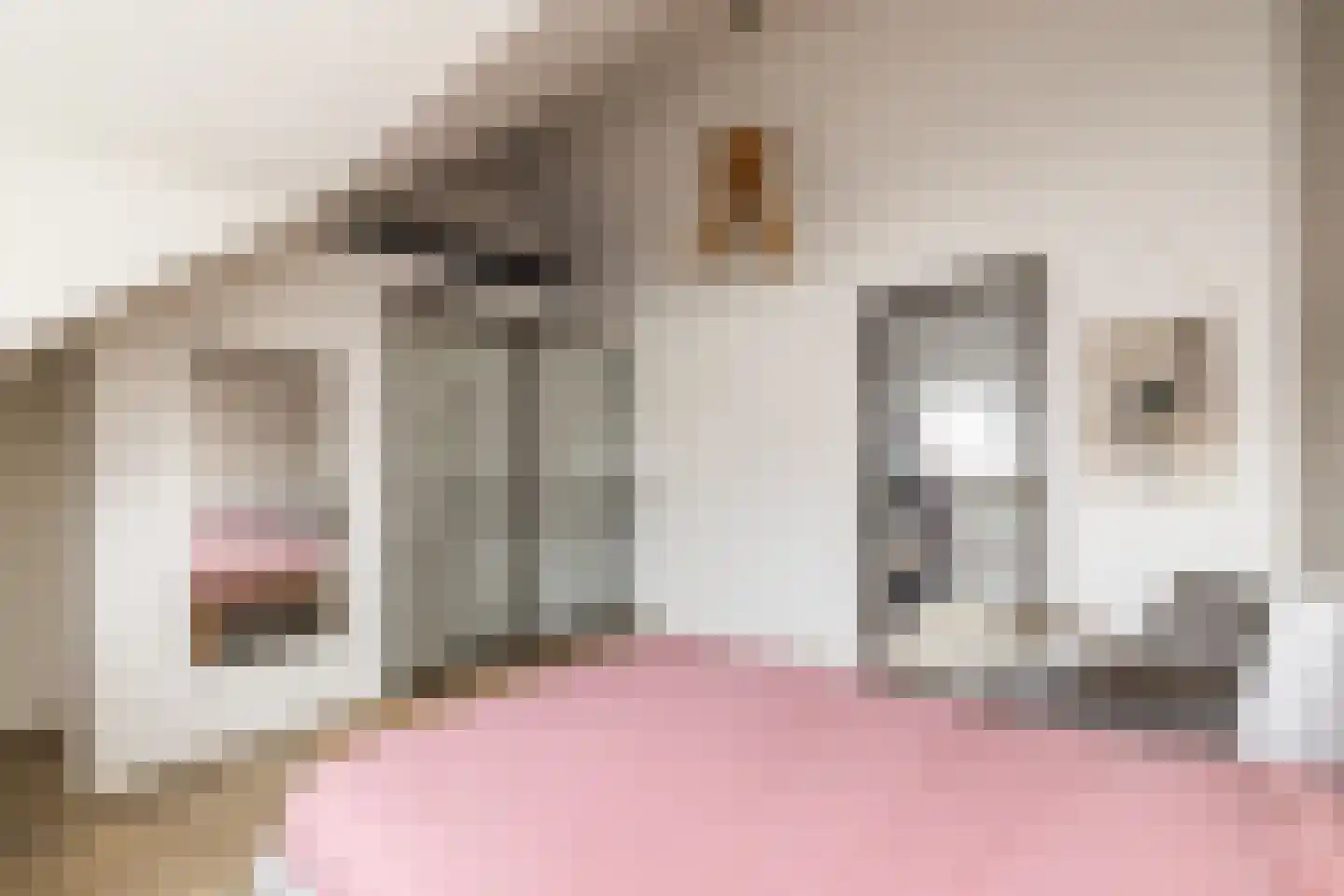Mortelhof 8 Hillegom thumbnail 19