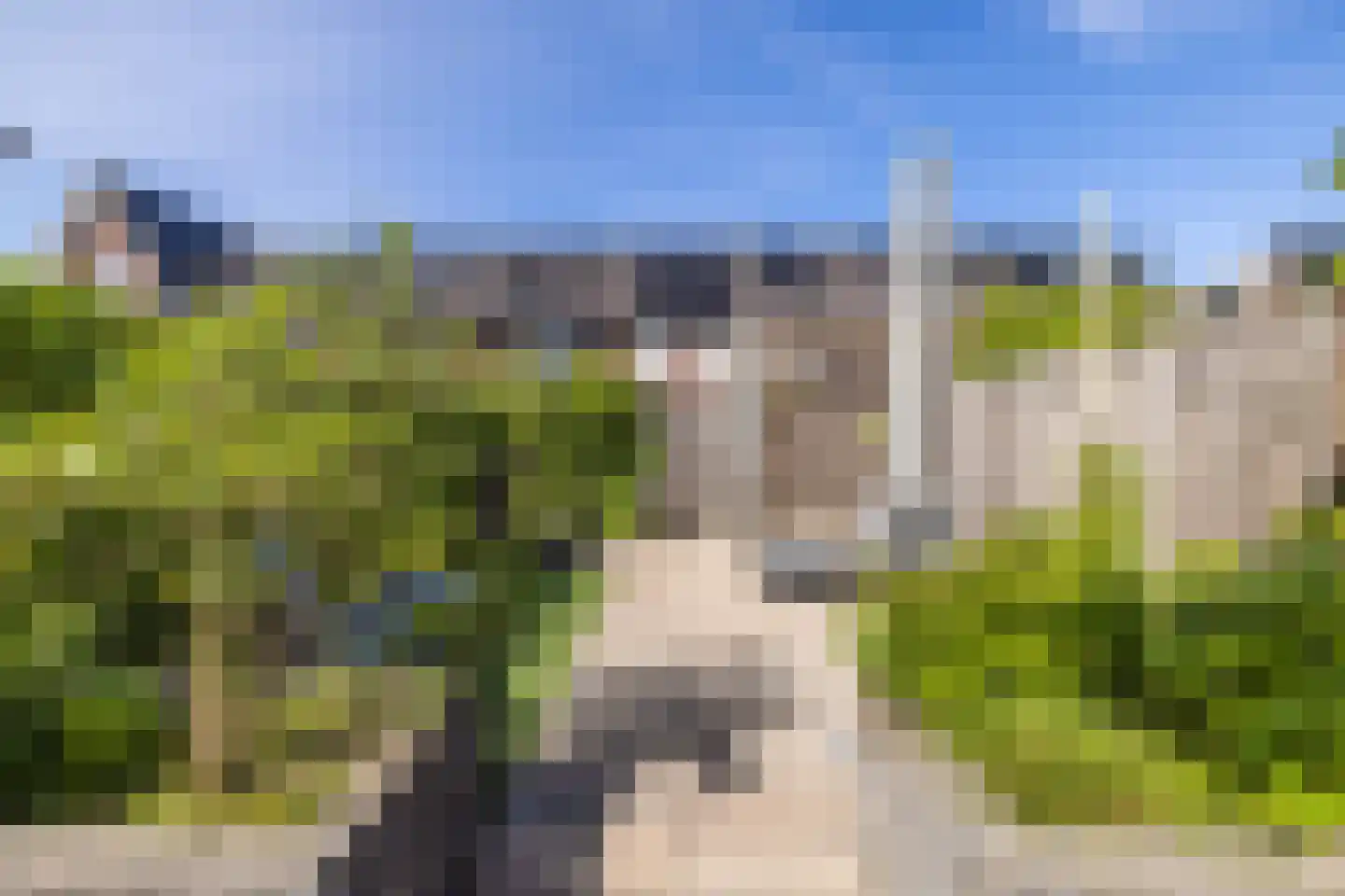 Mortelhof 8 Hillegom thumbnail 23