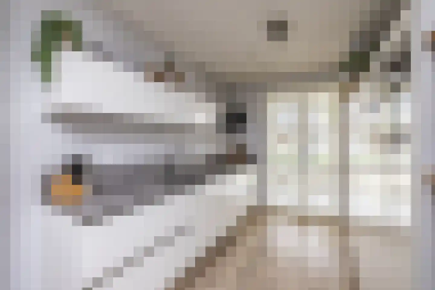 Mortelhof 8 Hillegom thumbnail 4