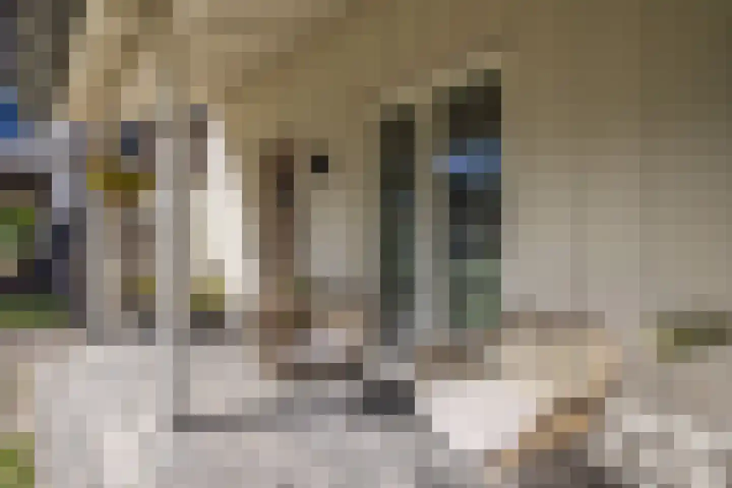Mortelhof 8 Hillegom thumbnail 6