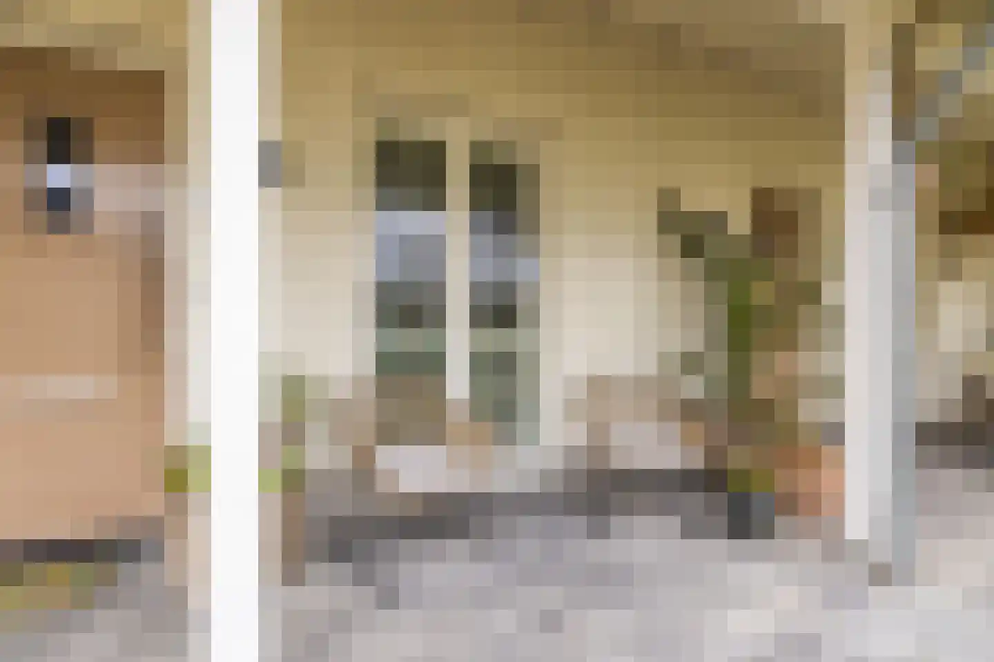 Mortelhof 8 Hillegom thumbnail 6