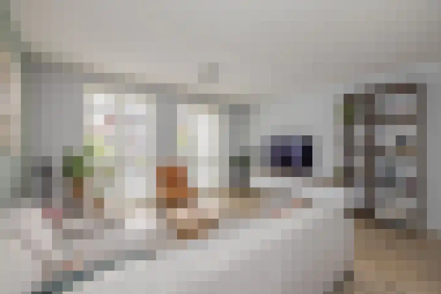 Mortelhof 8 Hillegom thumbnail 8
