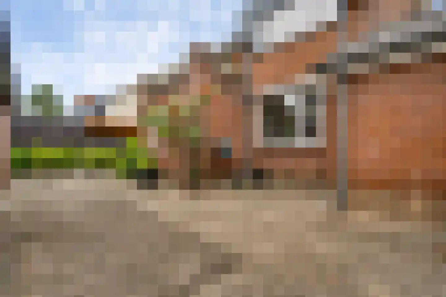 Mortelplein 1 Swalmen thumbnail 20