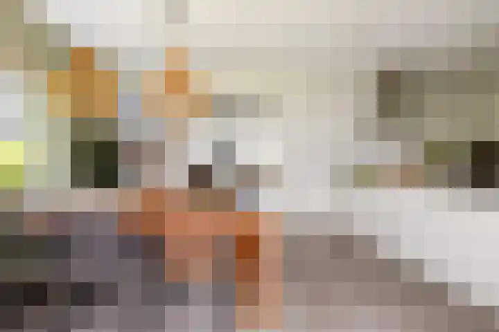 Mortelweg 30 Vlijmen thumbnail 11