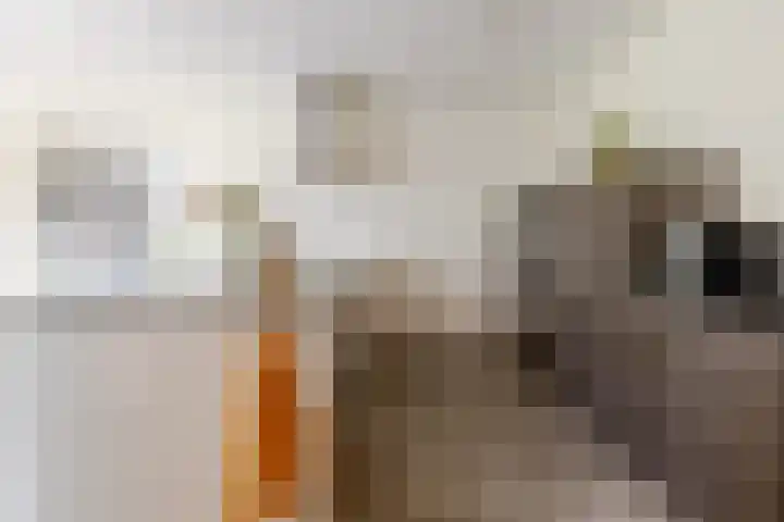 Mortelweg 30 Vlijmen thumbnail 14