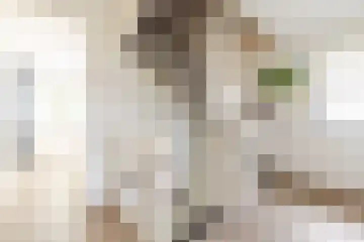 Mortelweg 30 Vlijmen thumbnail 29