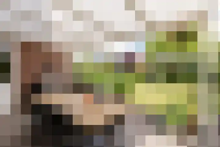 Mortelweg 30 Vlijmen thumbnail 36