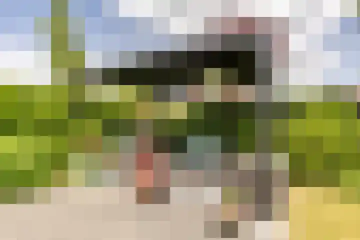 Mortelweg 30 Vlijmen thumbnail 38