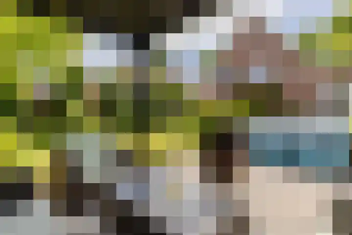 Mortelweg 30 Vlijmen thumbnail 39