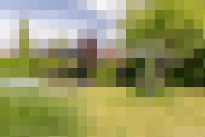 Mortelweg 30 Vlijmen thumbnail 40