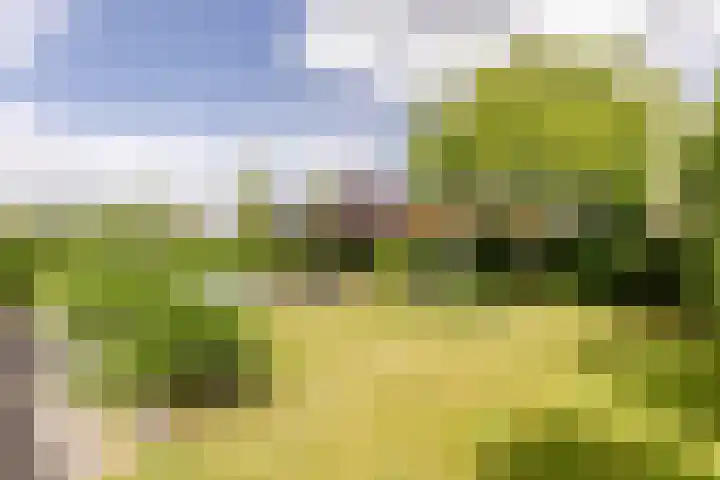 Mortelweg 30 Vlijmen thumbnail 41
