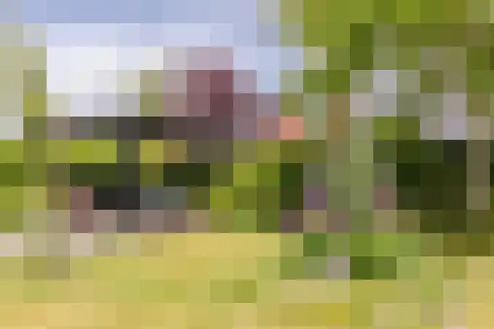 Mortelweg 30 Vlijmen thumbnail 42