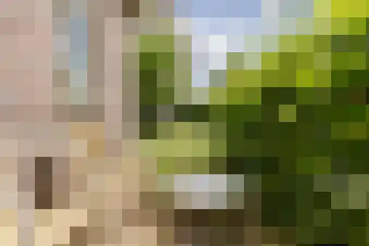 Mortelweg 30 Vlijmen thumbnail 45