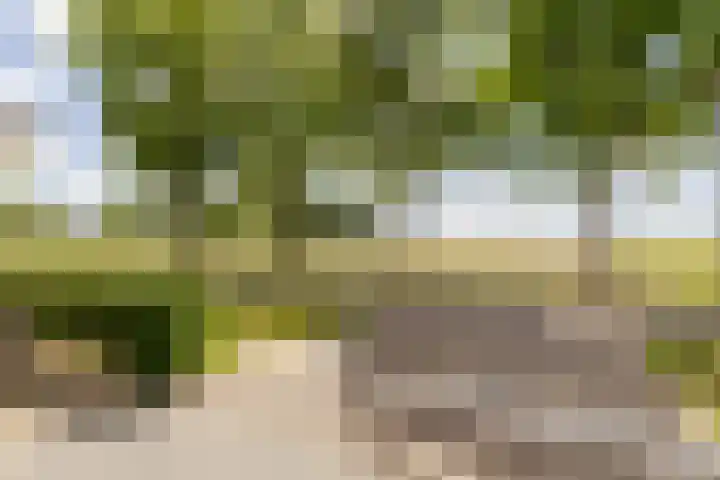 Mortelweg 30 Vlijmen thumbnail 48