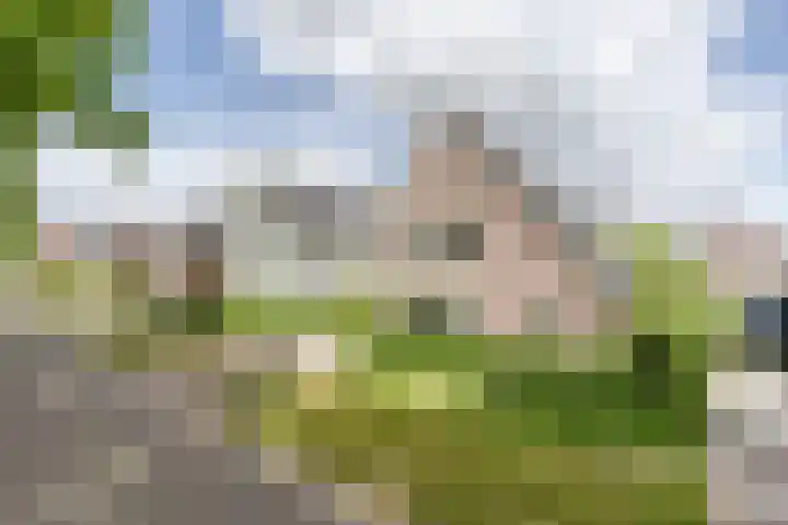 Mortelweg 30 Vlijmen thumbnail 51