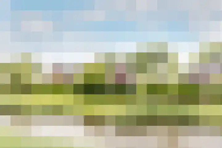 Mortelweg 30 Vlijmen thumbnail 53