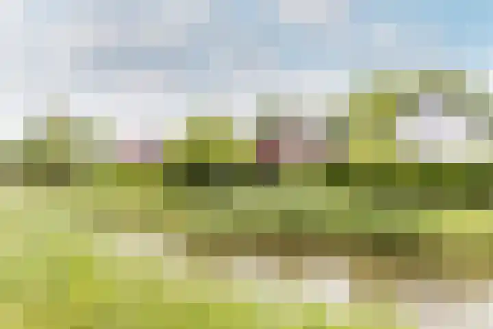 Mortelweg 30 Vlijmen thumbnail 54