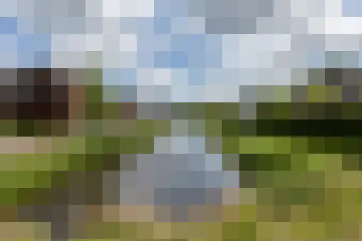 Mortelweg 30 Vlijmen thumbnail 57
