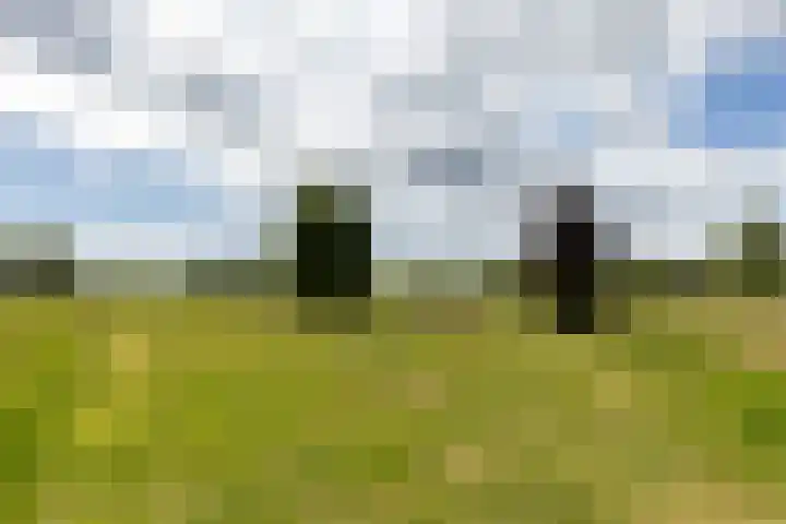 Mortelweg 30 Vlijmen thumbnail 59