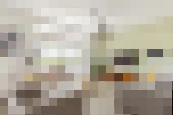 Mortelweg 30 Vlijmen thumbnail 6