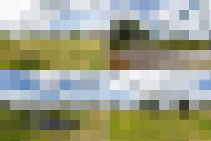 Mortelweg 30 Vlijmen thumbnail 61