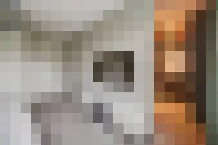 Mortelweg 32 Vlijmen thumbnail 15