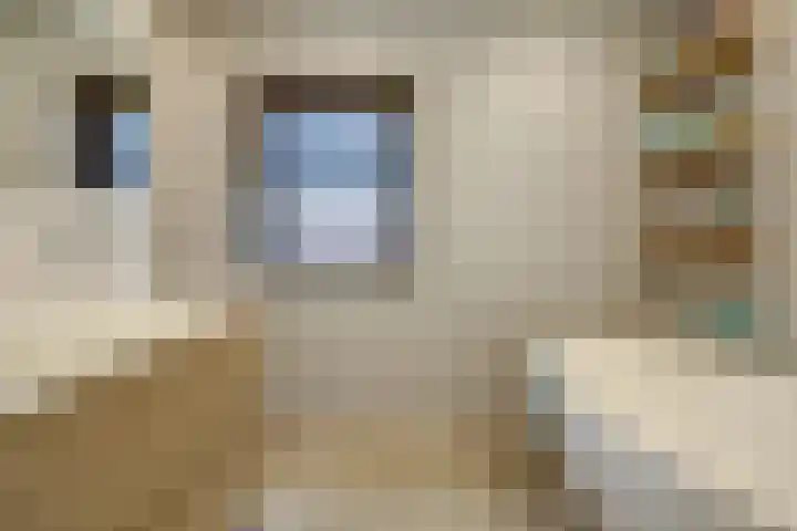 Mortelweg 32 Vlijmen thumbnail 17