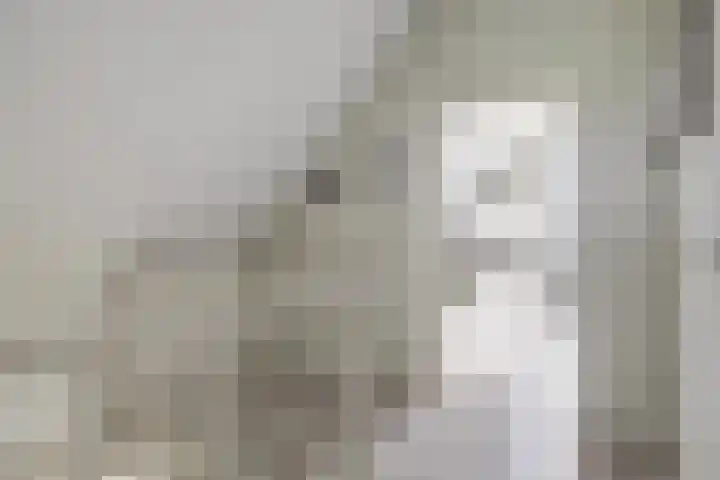 Mortelweg 32 Vlijmen thumbnail 28