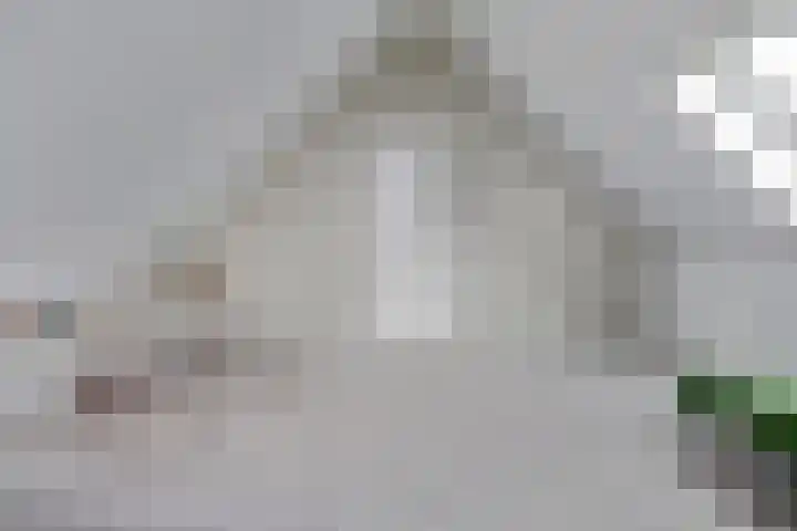 Mortelweg 32 Vlijmen thumbnail 30