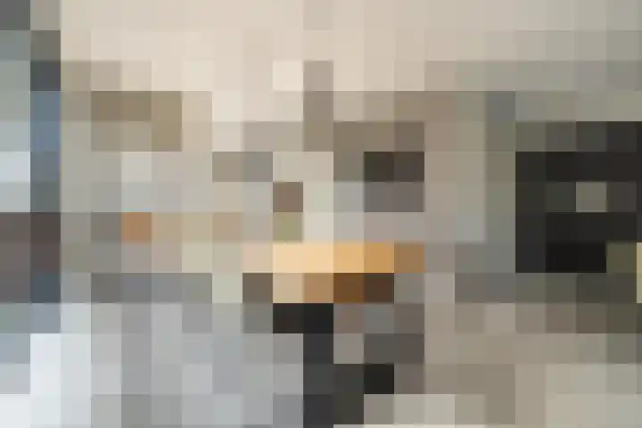 Mortelweg 32 Vlijmen thumbnail 7