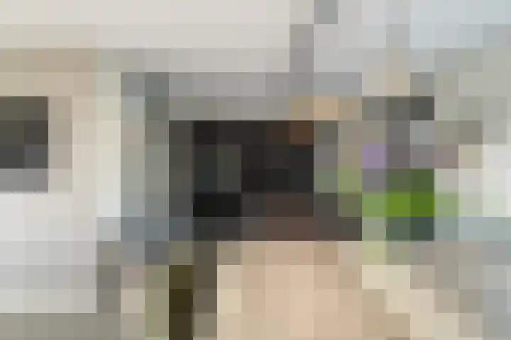 Mortelweg 32 Vlijmen thumbnail 9