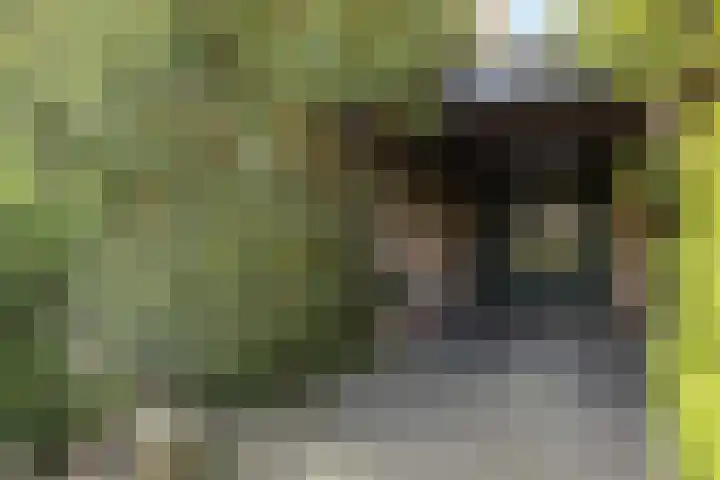 Mortelweg 36 Teteringen thumbnail 10
