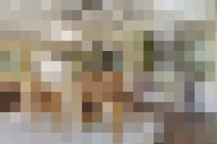 Mortelweg 36 Teteringen thumbnail 21
