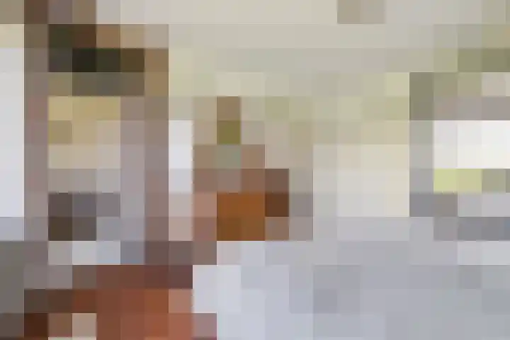 Mortelweg 36 Teteringen thumbnail 38