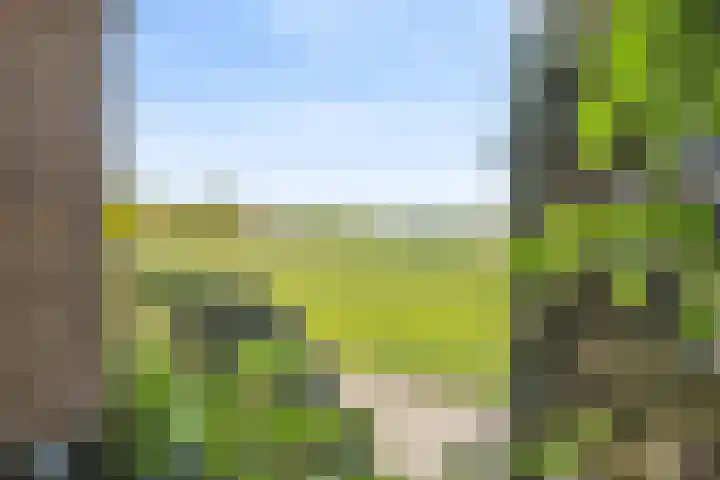 Mortelweg 36 Teteringen thumbnail 40