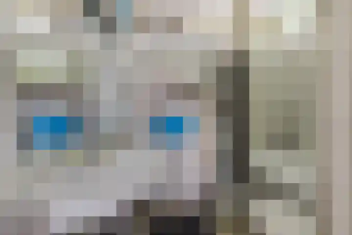 Mortelweg 36 Teteringen thumbnail 41