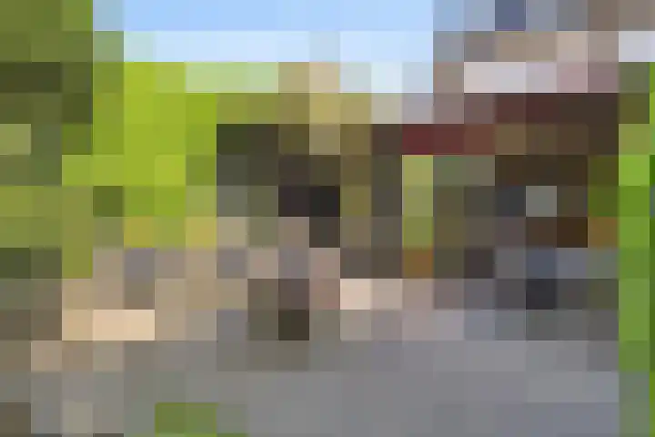Mortelweg 36 Teteringen thumbnail 48