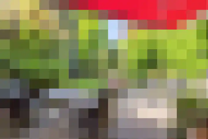 Mortelweg 36 Teteringen thumbnail 49