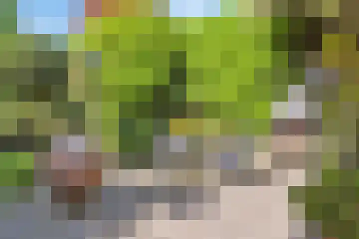 Mortelweg 36 Teteringen thumbnail 50
