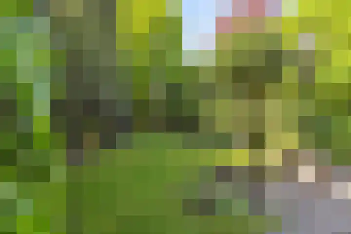 Mortelweg 36 Teteringen thumbnail 51