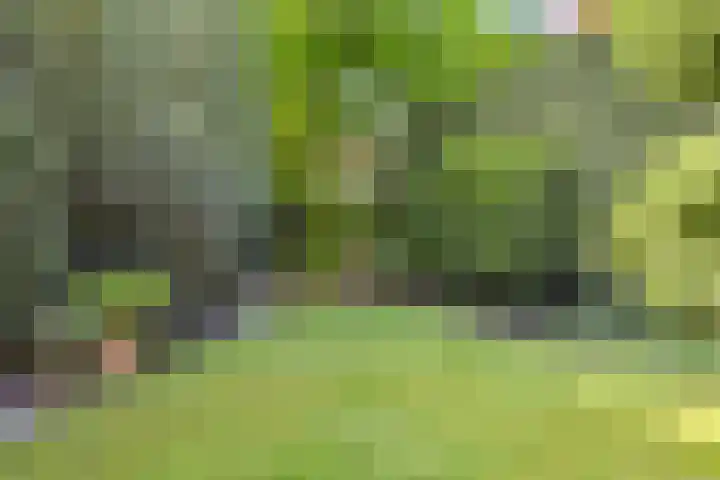 Mortelweg 36 Teteringen thumbnail 52