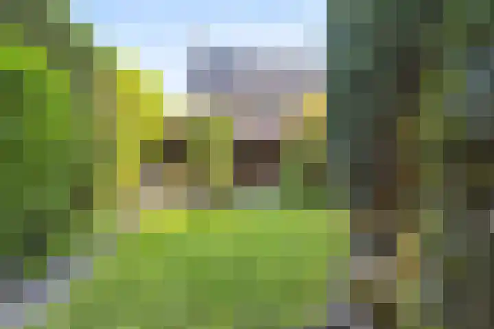 Mortelweg 36 Teteringen thumbnail 53