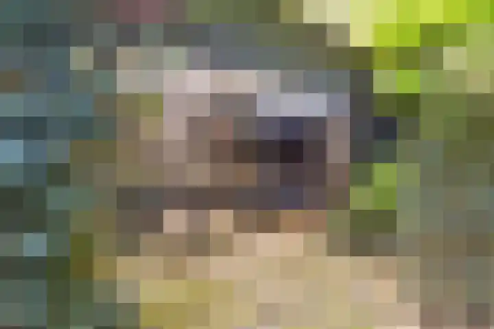 Mortelweg 36 Teteringen thumbnail 55