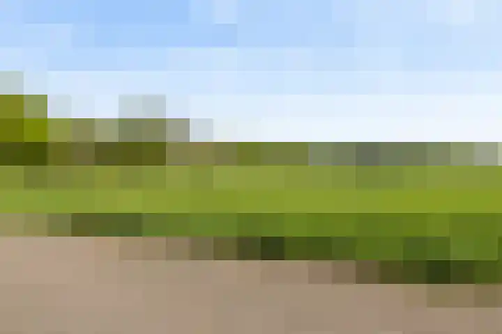 Mortelweg 36 Teteringen thumbnail 57