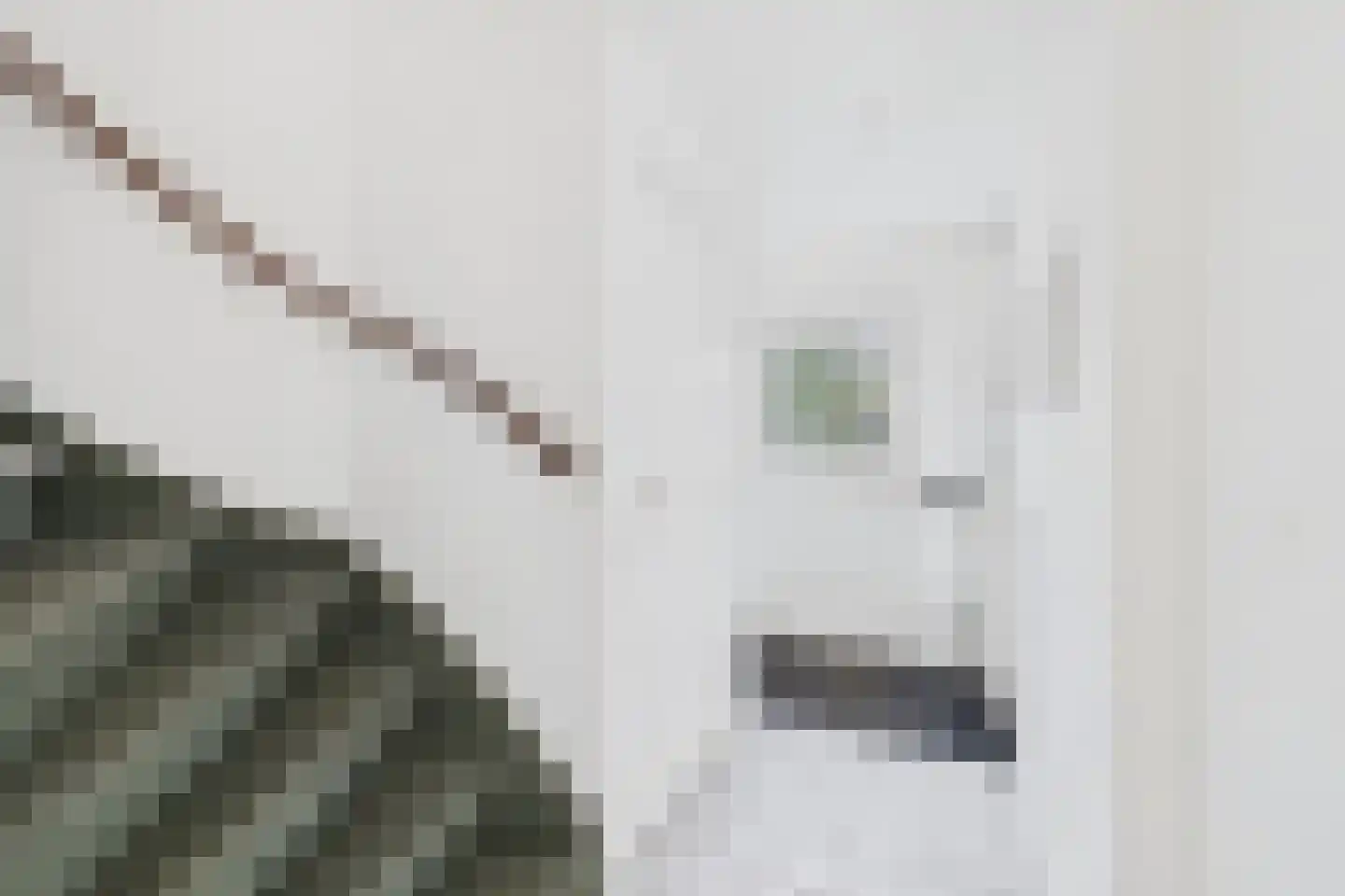 Mortierestraat 14 Middelburg thumbnail 6